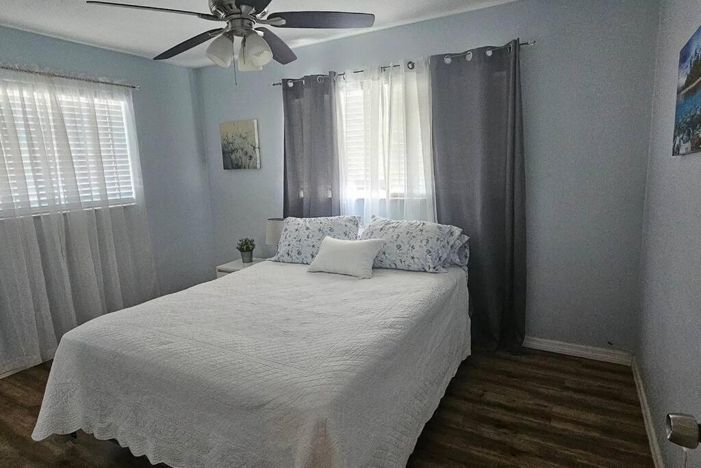 Cozy House Near The #1 Beaches In Fl! Apartment เคลียร์วอเตอร์ ภายนอก รูปภาพ